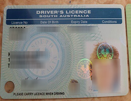 South Australian driver’s license