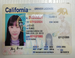 Fake California Drivers License
