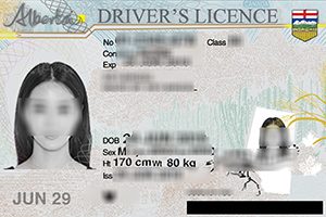 Fake Drivers License Online