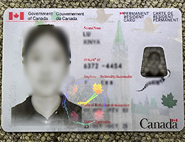 Fake Canadian Driving License