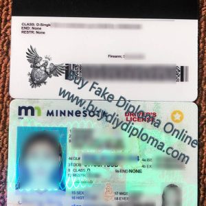 Fake Minnesota driver’s license