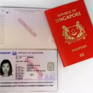 FAKE SINGAPORE PASSPORT Online